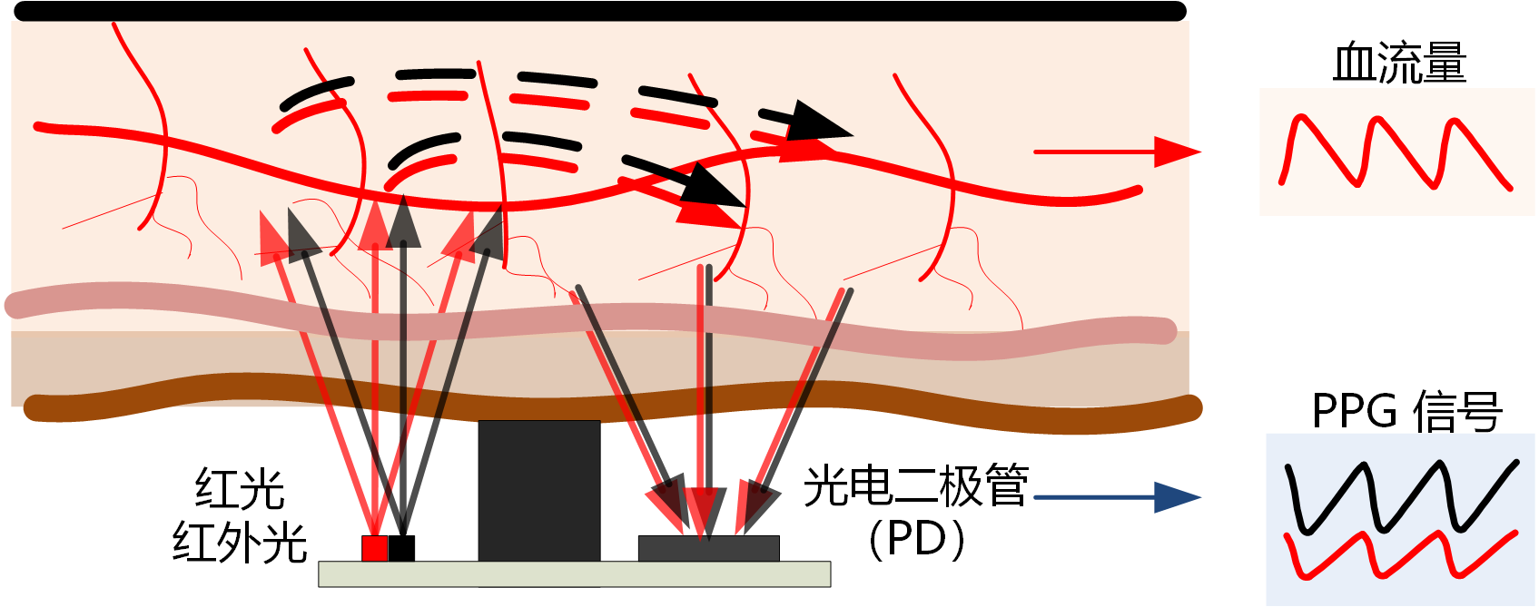 配圖血氧.png